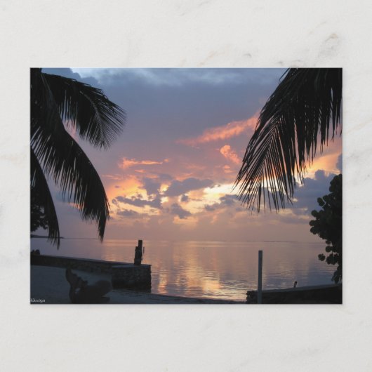 Paradise Briefkaart (Voorkant)