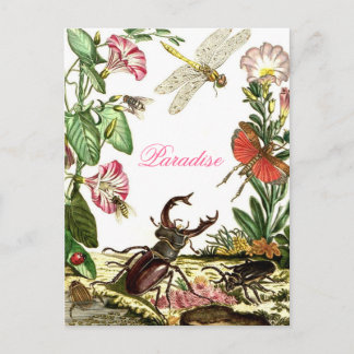 Paradise Briefkaart