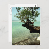 Paradise Briefkaart (Voorkant / Achterkant)