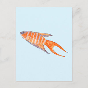 Paradise Fish, Waterverf. Briefkaart