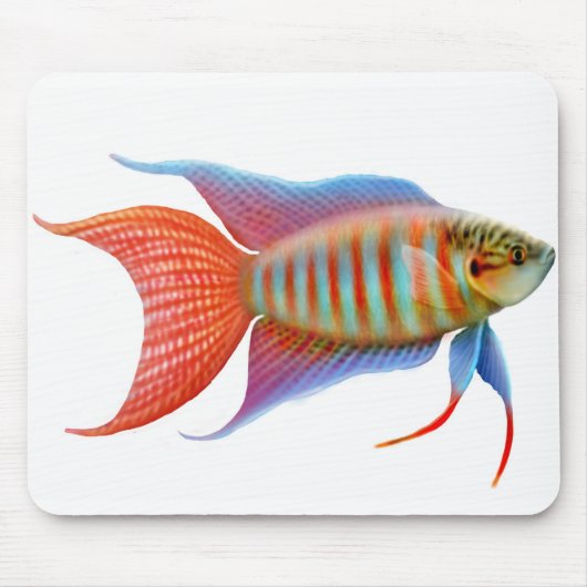 Paradise Gourami Fish Mousepad Muismat (Voorkant)