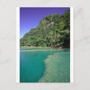 Paradise groene lagune Semuc Champey Guatemala Briefkaart