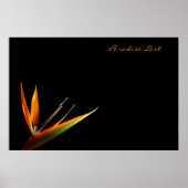 Paradise Lost Poster (Voorkant)