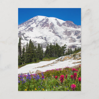 Paradise Mt. Rainer Briefkaart