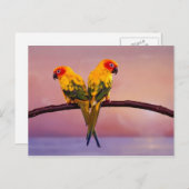 Paradise Parrots Briefkaart (Voorkant / Achterkant)