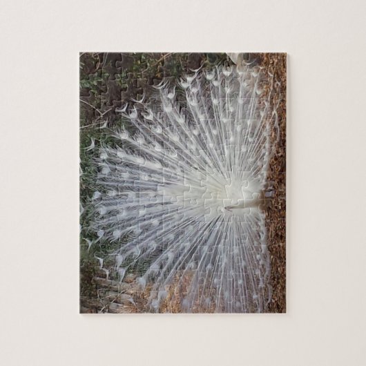 Paradise Peacock Legpuzzel (Verticaal)