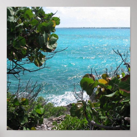 Paradise Poster (Voorkant)