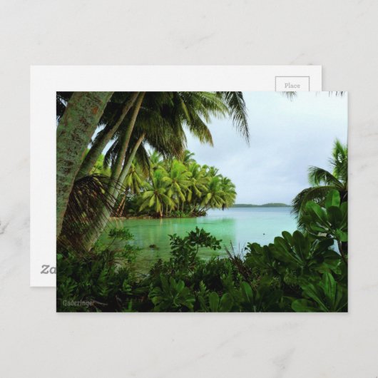 Paradise Turquoise Waters en Palm Trees Briefkaart (Voorkant / Achterkant)