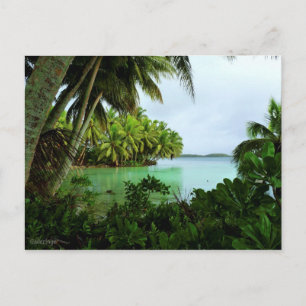 Paradise Turquoise Waters en Palm Trees Briefkaart