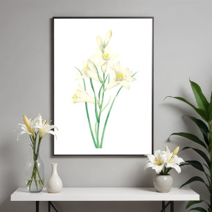 Paradisme Bloem Botanische Illustratie Poster