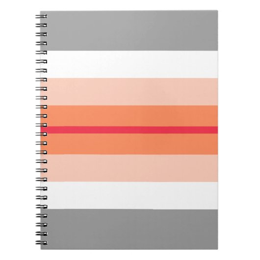 Paragirl Pride Flag Notitieboek (Voorkant)