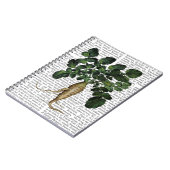 Paragraaf 1 notitieboek (Linkerzijde)