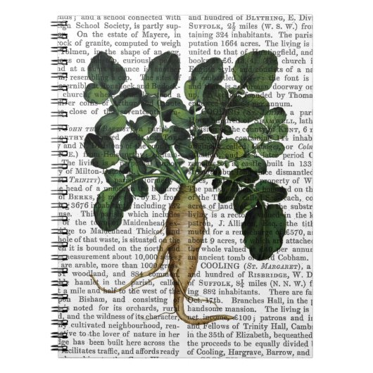 Paragraaf 1 notitieboek (Voorkant)