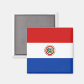 Paraguay Flag Magnet Magneet (Voorkant / Achterkant)