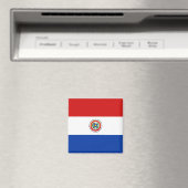 Paraguay Flag Magnet Magneet (Insitu (Vaatwasser))
