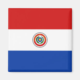 Paraguay Flag Magnet Magneet