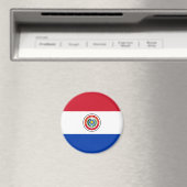 Paraguay Flag Magnet Magneet (Insitu (Vaatwasser))