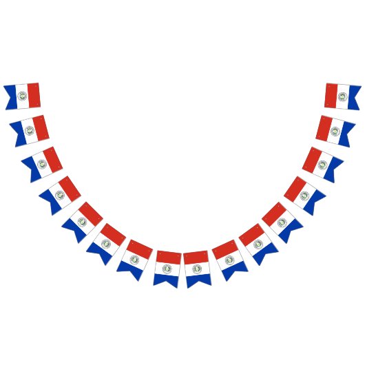 Paraguay Flag Vlaggetjes (Alle)