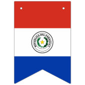 Paraguay Flag Vlaggetjes (Eerste vlag)