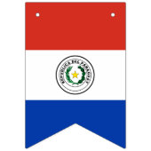 Paraguay Flag Vlaggetjes (Derde vlag)
