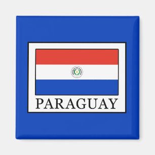 Paraguay Magneet
