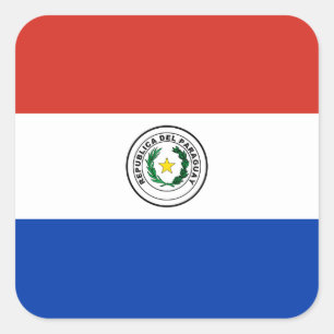 Paraguay nationale wereldvlag vierkante sticker