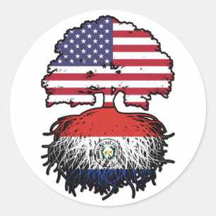 Paraguay Paraguayaanse Amerikaan - Amerikaanse vla Ronde Sticker