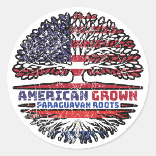 Paraguay Paraguayaanse Amerikaan - Amerikaanse vla Ronde Sticker