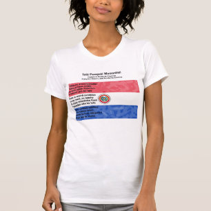 Paraguay - Tetã Paraguái Momorãhéi T-shirt