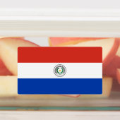 Paraguay Vlag Labels (Aangebracht)