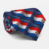 Paraguay Waving Flag Stropdas (Opgerold)