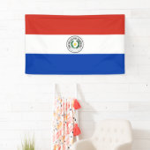 Paraguayaanse vlag spandoek (Insitu)
