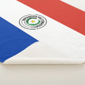 Paraguayese vlag sherpa deken (3/4)