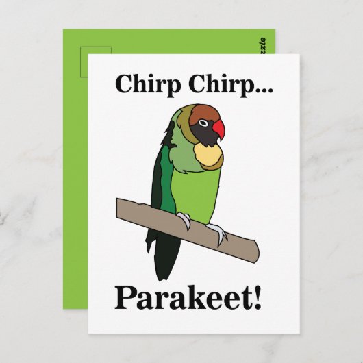 Parakeet Bird  Briefkaart (Voorkant / Achterkant)