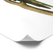 Parakeet de John Audubon - Poster Imprimer (Coin)