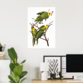 Parakeet de John Audubon - Poster Imprimer (Bureau à domicile)