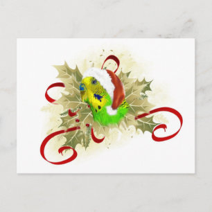 Parakeet Kerst Briefkaarten