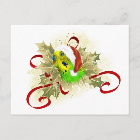 Parakeet Kerst Briefkaarten (Voorkant)
