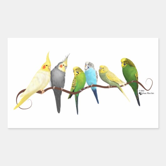 Parakeets & Cockatiels! Rechthoekige Sticker (Voorkant)