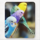 Parakeets mousepad muismat (Voorkant)
