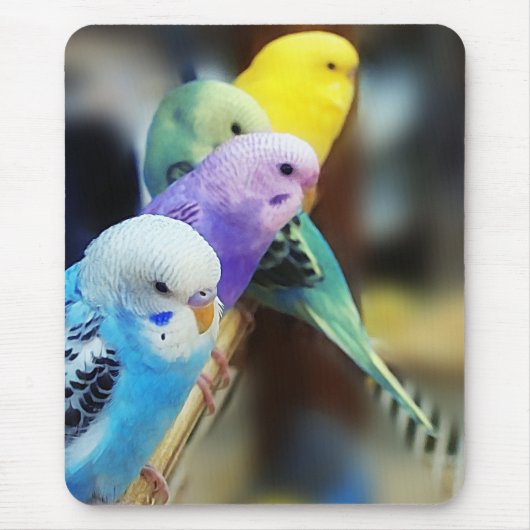 Parakeets mousepad muismat (Voorkant)
