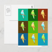 Parakeets op Aarde tonde-pleinen Briefkaart (Voorkant / Achterkant)