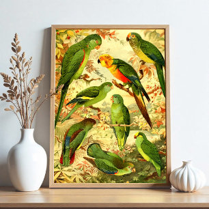 Parakeets Poster
