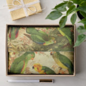 Parakeets Tissuepapier (Geschenk)