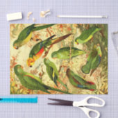 Parakeets Tissuepapier (Craft)