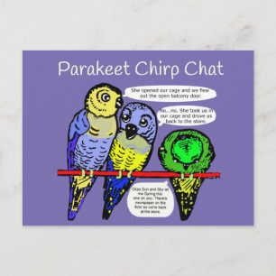 Paraket Chirp en Talk is Cheep Briefkaart