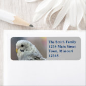 Paraket Etiket (Insitu)