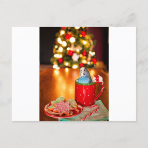 Paraket kerst briefkaart