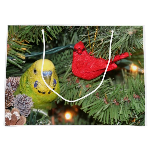 Paraket kerst large cadeauzakje (Voorkant)
