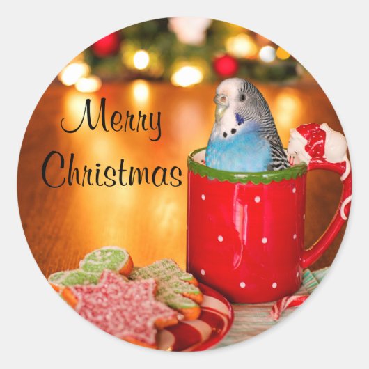 Paraket kerst ronde sticker (Voorkant)